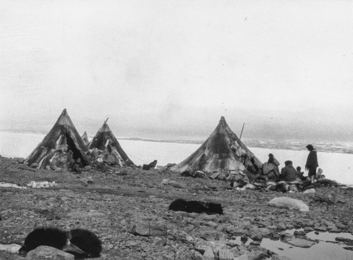 Eskimoiske spisstelt ved Lake Franklin, Nord-Canada tidlig 1920-tallet.