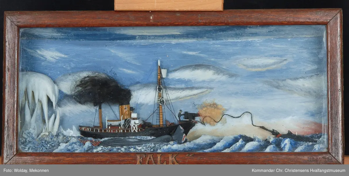 Fangstscene: Hvalbåten "Falk" i halvmodell i Sydishavet, en stjerne i skorstenen. Hvalskytter fanger hval m/harpun. En hval er fanget og ligger langs båtsiden.