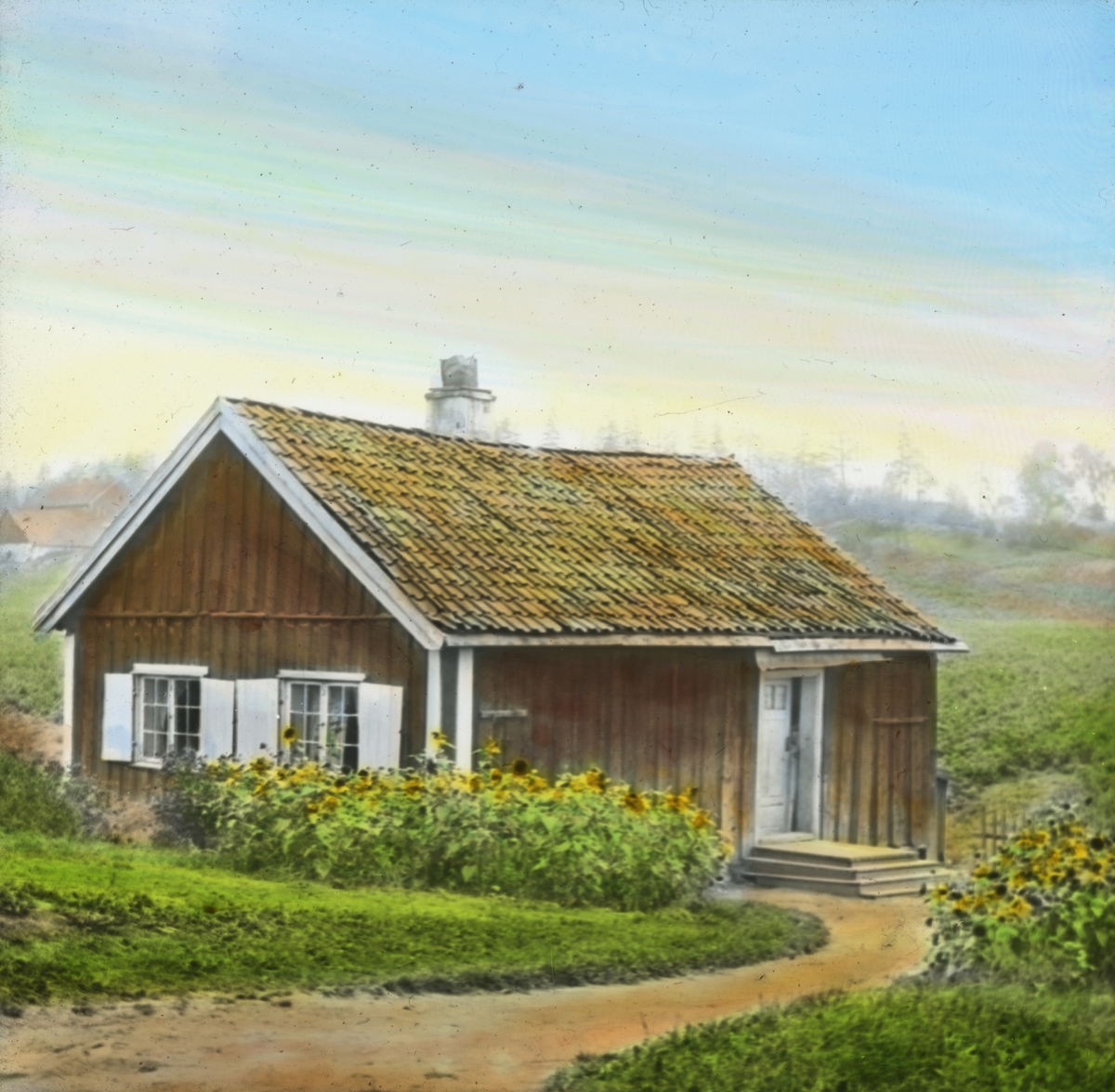 Håndkolorert dias. Et rødmalt trehus med hvite skoddertil vinduene og solsikker foran huset ved Frognerjordene i 1902. I bakgrunnen sees en åker og noen hus.