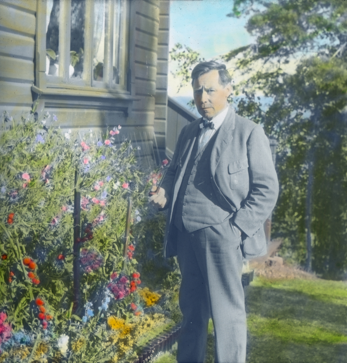 Håndkolorert dias. Portrett av forfatteren Olav Duun. Duun står foran et blomsterbed og i hånden holder han en pipe.