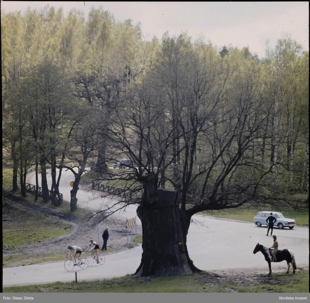 Tidig vår i Lill-Jansskogen. Människor på häst, cykel och till fots.