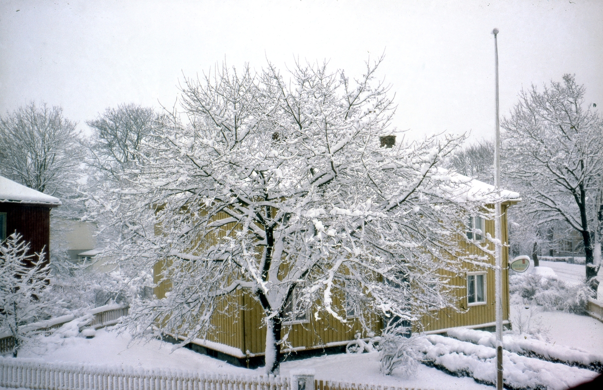 Snø på Øya. Utsikt fra Ragnhilds gate 1A