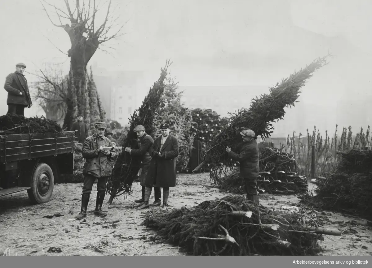Julemarked og salg av juletrær på Tempelhofer Feld i Berlin. Udatert. Arbeidermagasinet/Magasinet for Alle