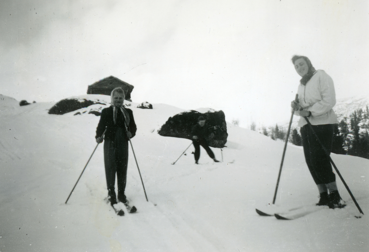 Seks bilde frå ein skitur.  Tordis Terjesen er ei av dei som er på bilda.  