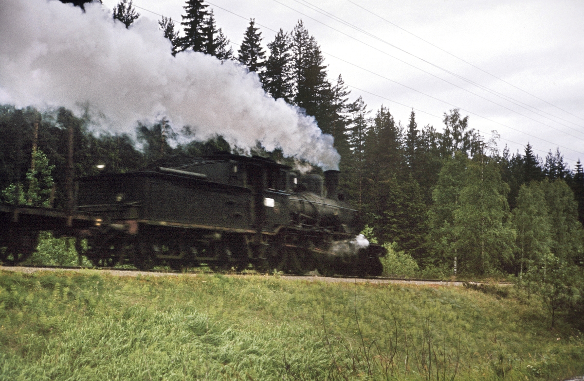 Damplokomotiv type 21b nr. 225 med godstog på Numedalsbanen