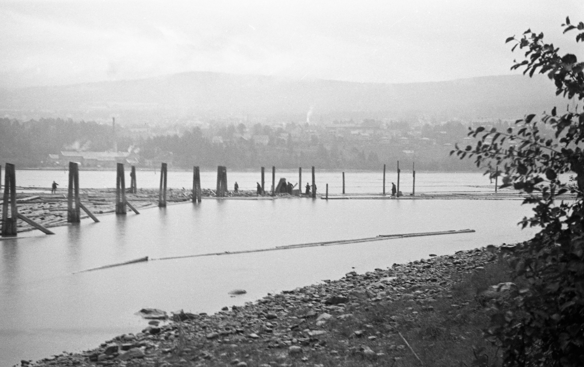 Fra inntaksområdet til Lillehammer lense ved Gudbrandsdalslågens utløp i Mjøsa. Fotografiet ble tatt i 1937 fra Vingnes-sida (vestsida) av vassdraget, som ett av to i en serie som fløtingsfunksjonærene monterte sammen til et vidvinkelmotiv. Dette bildet er tatt med kameraet vendt østover mot den nedre delen av den traktformete inntakslensa og den øvre delen av «renna» som førte mot sorteringsanlegget. I bakgrunnen ser vi lia opp mot Lillehammer sentrum. Dette året var det innmeldt 236 509 stokker til fløting i ovenforliggende vassdrag som i prinsippet skulle passere denne lensa. I tillegg kom 609 stokker som lå igjen fra foregående år. Av dette skulle 192 324 stokker - om lag 81 prosent - til brukene ved Mjøsa. Dette tømmeret skulle sorteres etter påslåtte tømmermerker og «soppes» ved lenseanlegget, det som skulle til bedrifter lengre nede i Glommavassdraget ble fløtet sams til det hadde passert Minnesund.   

Tirsdag 3. august 1937 kunne leserne av Opland Arbeiderblad lese følgende om fløtingsvirket i Mjøsregionen, der bortimot halvparten av kvantumet passerte Lillehammer lense:

«Tømmerkvantumet i Mjøsvassdraget 33 prosent større enn fjorårets.
Borregård avtar 40 prosenrt av hele distriktets tømmerproduksjon.
Efter de opgaver som nu foreligger er der til fløtning i Mjøsvassdraget innmerket ialt 1 330 771 stokker, svarende til ca. 265 000 kbm.
Ved Lillehammer lense passerer 112 143 kbm., eller ca. 46 prosent av det hele kvantum. I de øvrige elver til Mjøsa er innmerket 331 230 stokker og rundt Mjøsstranden 414 330 stokker.
Av det samlede tømmerkvantum skal 627 200 stokker eller 47 prosent avleveres til brukene rundt Mjøsa, mens resten skal viderebefordres.
Den største avtager er Borregård som tar 522 851 stokker eller ca. 40 prosent av distriktets samlede tømmerproduksjon.»