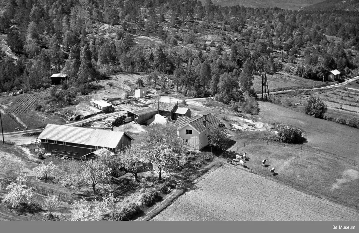 Flyfoto av Bakås, 13. juni 1958.
