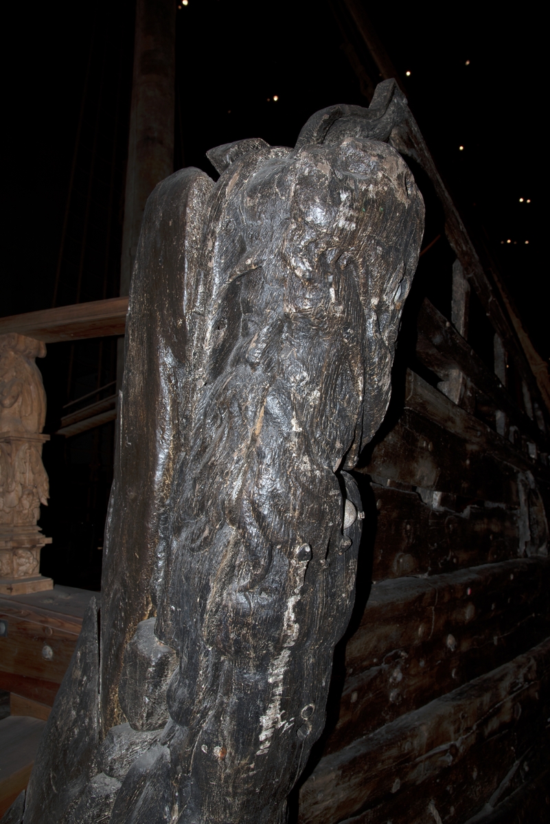 Port beak-head railing, carved in the form of a large Triton with two intertwining fish tails.
The head is viewed in left profile, although quite a large part of the right side of the face and the right eye can be seen as it is carved in high relief. Its torso and fish tails are carved en face.
The large head shows an old man’s face with a long beard, wearing a helmet with what is probably a lion’s head on it. The male figure’s naked muscular body extends downwards into twisted scaly tails that terminate in naturalistic fins. The Triton has no arms, in their place there are simple leaf forms.
The sculpture is carved in one piece, except for smaller pieces of the torso which were carved separately and attached by means of treenails.
The back of the sculpture is, overall, smooth and even, however, in its upper part there are three large grooves. In its lower part there are a number of small rectangular grooves close to the bottom edge. There are markings that suggests that something, possibly another sculpture, has lain upon the horizontal part of the Triton.
The sculpture is relatively well preserved. The undecorated continuation of the beak-head railing is broken off.

Location on ship
The sculpture is located along the upper part of the beak-head on the port side. The sculpture forms the upper border of the beak-head, extending from the hull to the forward point of the beak-head. With the head end the Triton is attached to the hull at the level of the upper-deck railing, while the foot end is fastened to the timbers or ribs of the beak-head.
Repositioned on the ship on 19-01-1972.

Iconography
Tritons and other mythological sea creatures with human torsos and fish-tails, sea gods and the like, represent significant elements in the marine iconography of renaissance art. In antique mythology Tritons are a kind of lower form of sea divinities, the sons of Poseidon, Neptune, and Amphitrite. They were depicted as male figures with the lower part of their bodies transformed into single or double fish tails. In renaissance art the Tritons were often used as Herms or Atlantes. They were often used in connection with wells or fountains.
As for the lion-like head which decorates the helmet of the Triton, the motif can be traced back to Hercules and his lion skin. Hercules'strength has been transferred to the Triton to emphasize its function as a constructional piece of the beak-head.

Woodcarver
Woodcarver is probably Mårten Redtmer. Both railing Tritons are carved from the same pattern and are evidently by the same artist. Stylistically there are several correspondences with other Tritons on the ship.

Bibliography
Soop, H., The Power and the Glory, Stockholm 1992. Category 36, pp. 36, 165-166.
Exhibited in "The Power and the Glory", The Old Wasavarvet Museum, 1975-1988.
Inventoried 1974.
