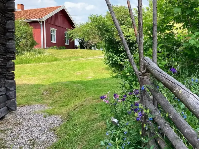 Utendørsbilde av Almenninga på sommeren. En grind i forgrunnen.