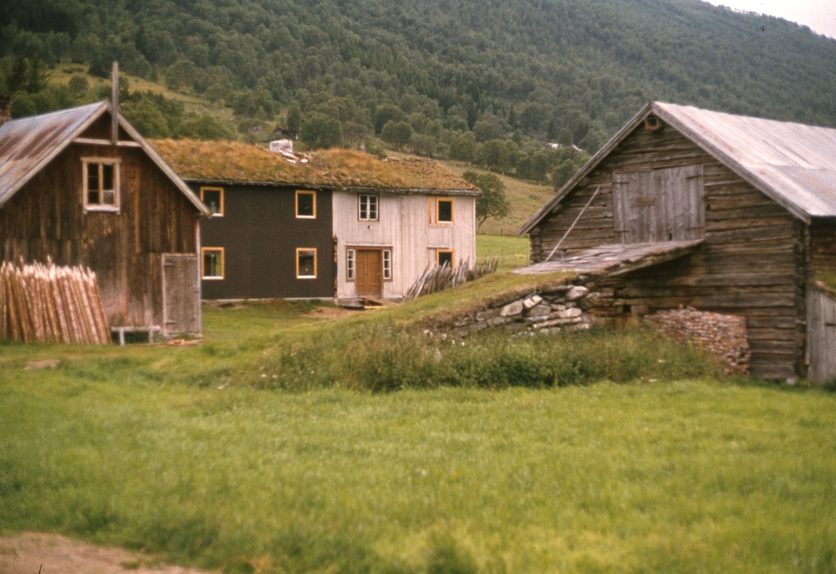 Befaring Innerdalen 1978