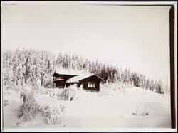 skog, hytte, snø
