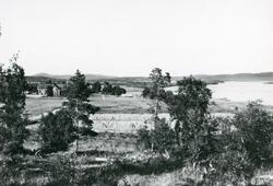 Nyrud gård i Pasvikdalen. Pasvikelven til høyre med hesjer i