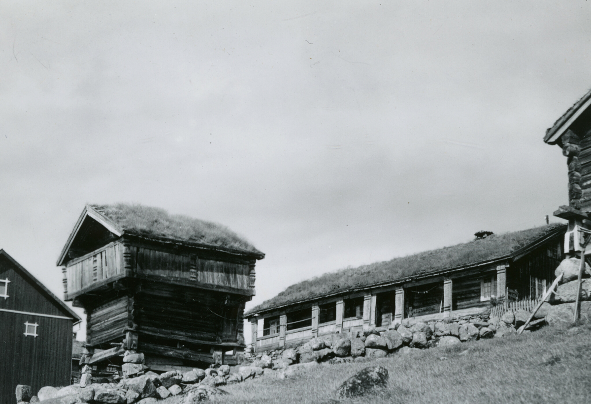 Frå Berge i Rauland.  bildet er tatt under Kornrådets reise i Telemark 11. august 1939.