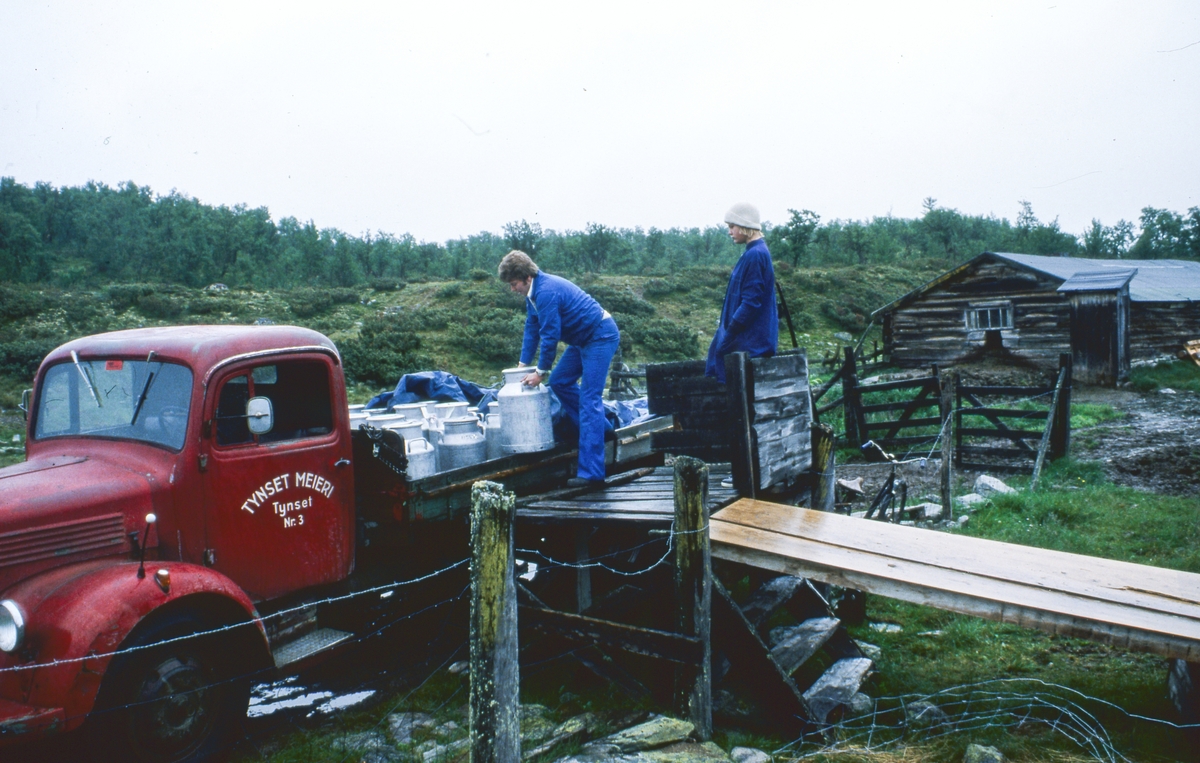 Seterliv, Klettdalen, Tolga. 1979