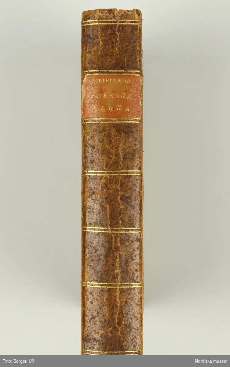 Huvudliggaren:
"Liljeblad Samuel, 'Utkast till en svensk Flora'. 
Uppsala 1798. Andra upplagan. Med handskrifna anteckningar. Inbunden.

Liljeblad, Samuel, universitetslärare, botanist, f. 1761, d. 1815."