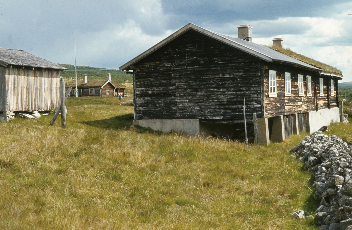 Seter, Breisjøsetra
