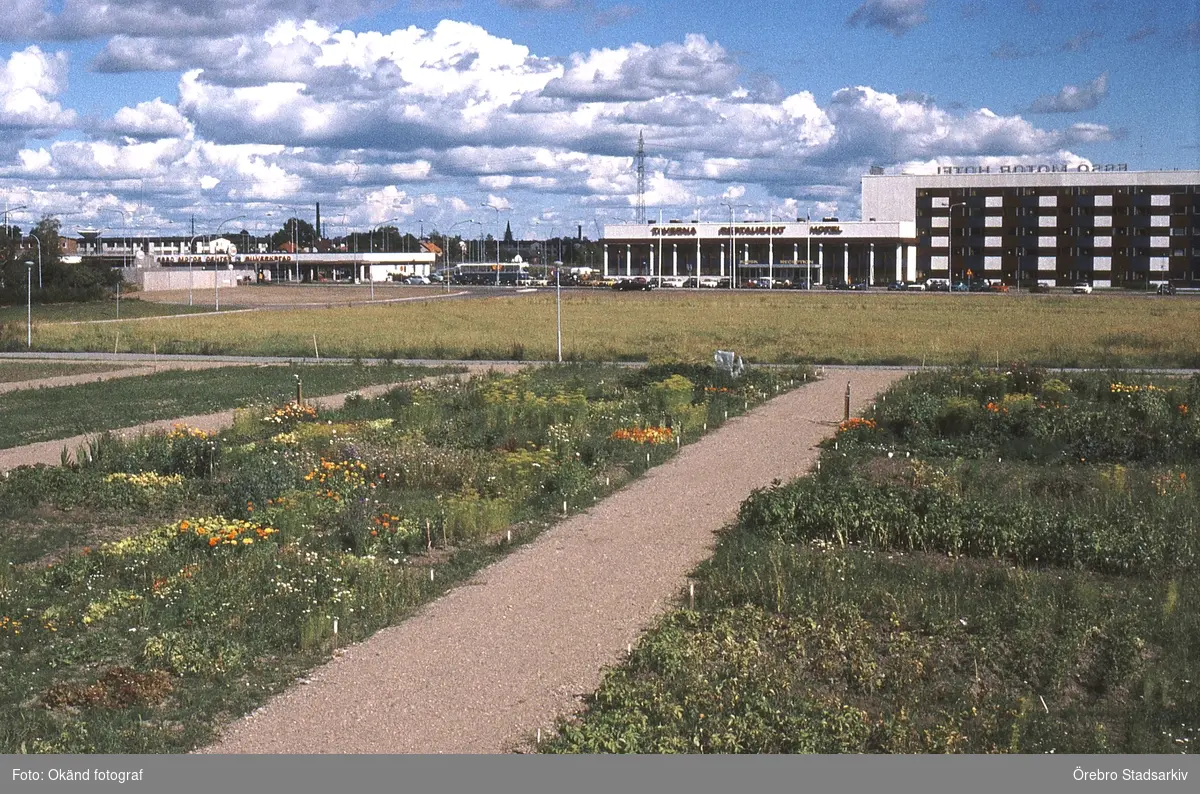 Koloniområde i Västhaga, 1970-tal - Örebro Stadsarkiv / DigitaltMuseum