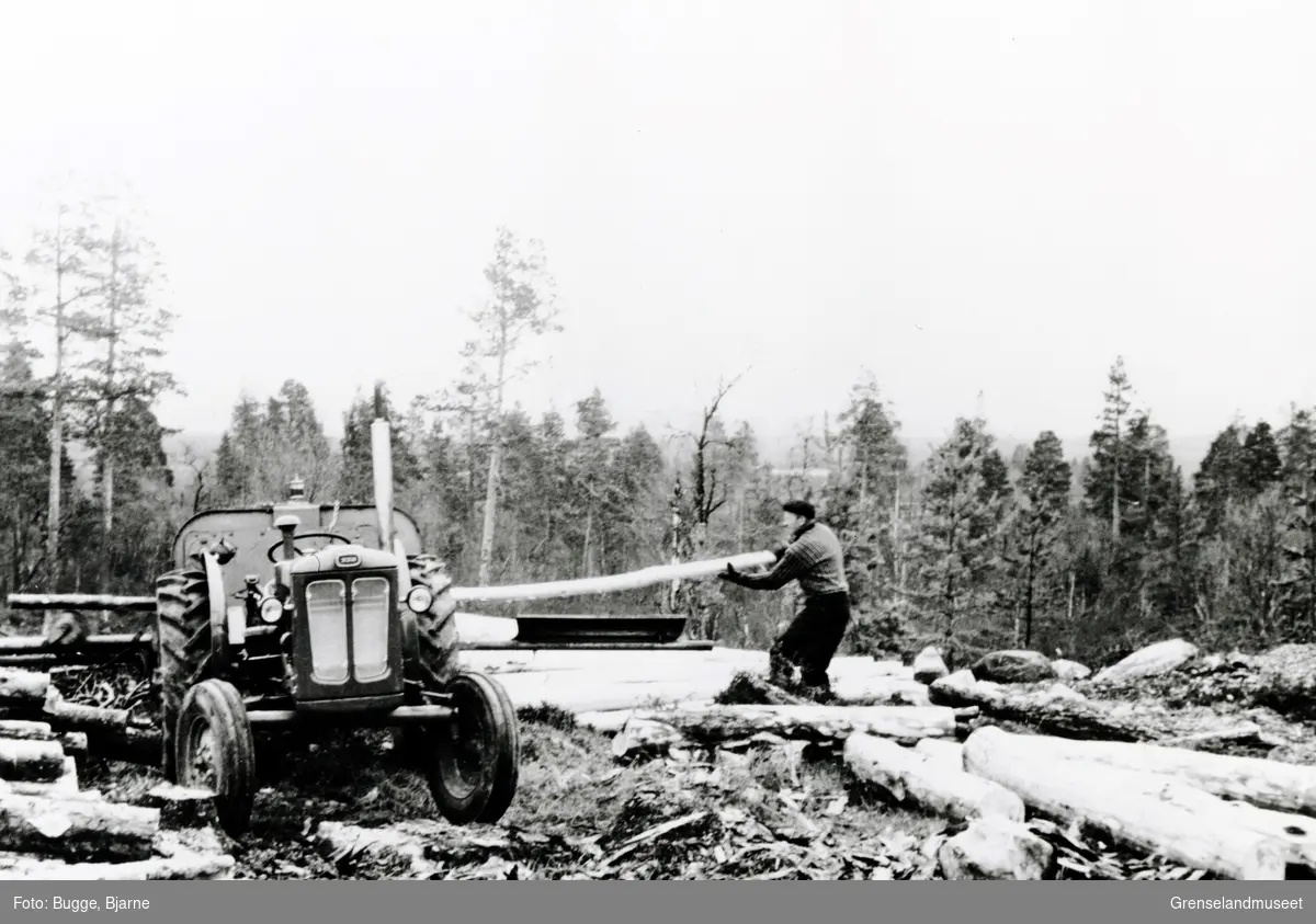 Tømmerkjøring med traktor i Pasvik.
