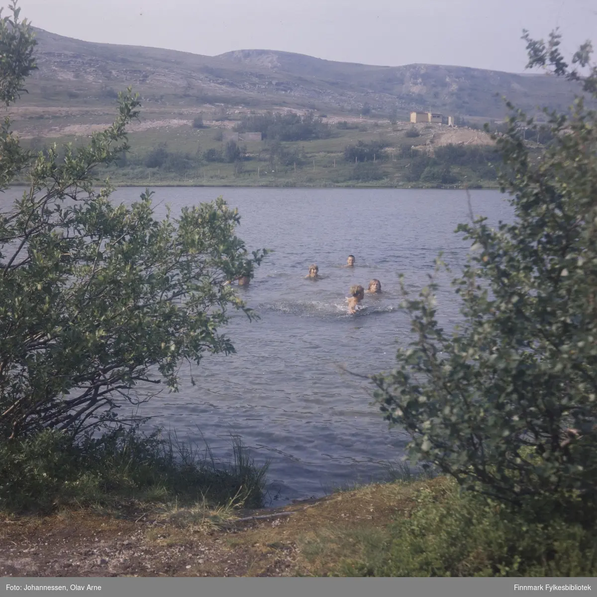 Foto av barn som bader i Jovannet i Båtsfjorddalen (Finnmark)

I bakgrunnen kan man se en gul hytte, muligens Klausenhytta 

Foto trolig tatt på 1960/70-tallet