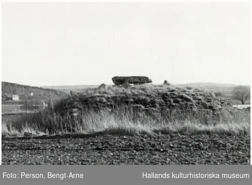 Dös, storstensgrav från yngre stenåldern (ca 3500 år f Kr) i Klastorp. På den ca 1,6 x 3 meter stora takhällen finns flera skålgropar. Omkring en kilometer därifrån finns även en långdös.
Fotografen var chef för Varbergs museum.