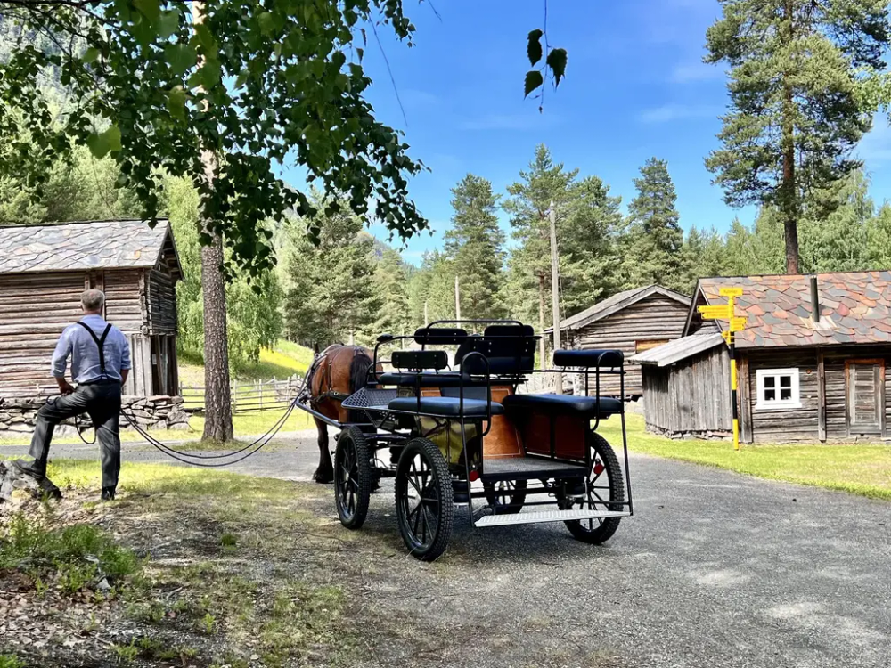 Bildet viser en hest i museumsparken.