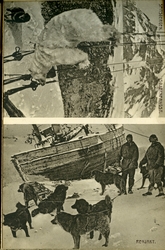 Isbjørnfangst(øverst) og reinjakt. Kort nr.7 fra et hefte in