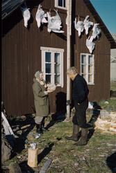 Sysselmann og prest på besøk hos Nøis på Fredheim i juli 196