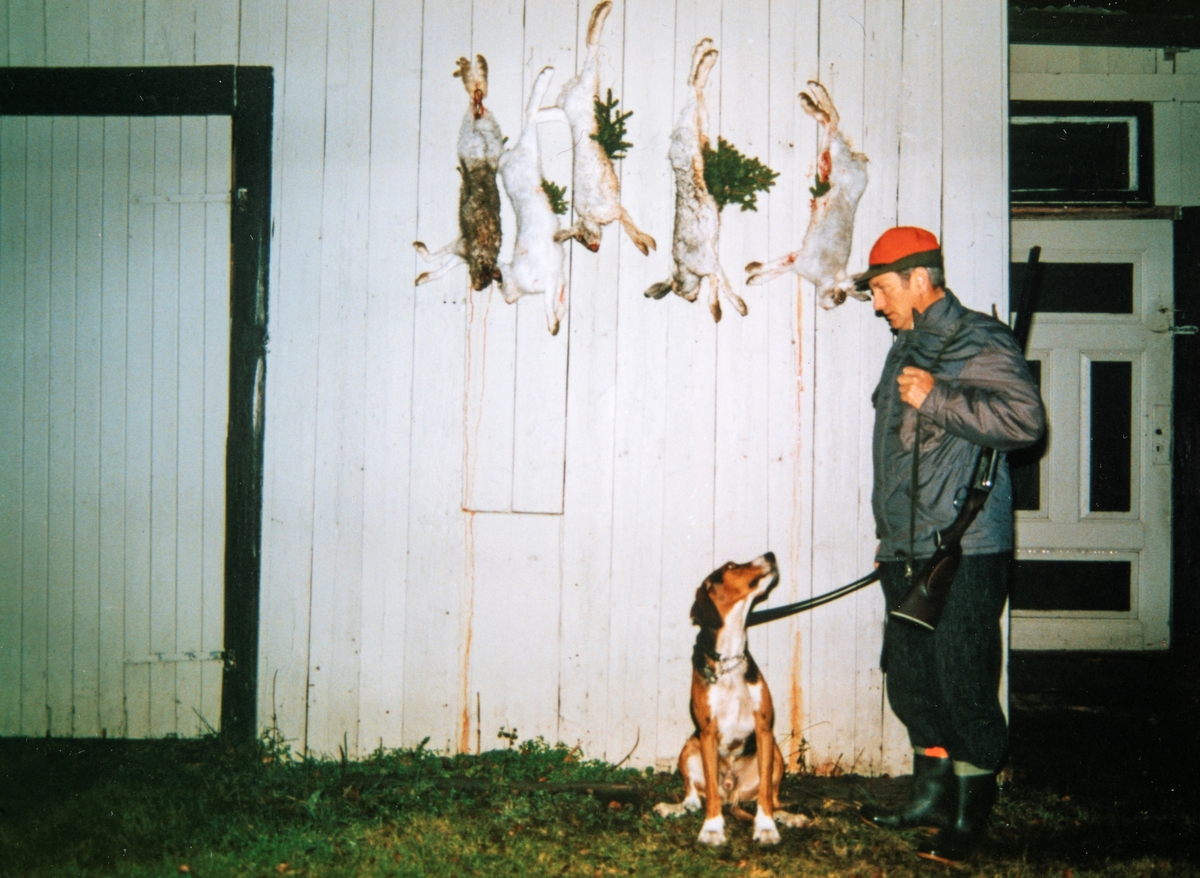 Gunnar Kjeldsrud var en ivrig hare jeger. Her har han akkurat skutt 5 harer ved hjelp av harehunden Sang.