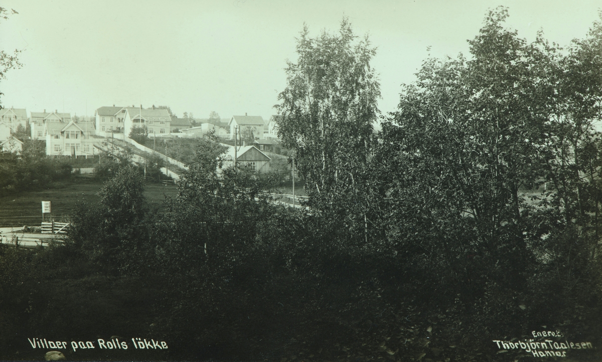 Postkort, Hamar, villaer på Rollsløkka, oversikt fra Lindbergbakken - Holsetgata,