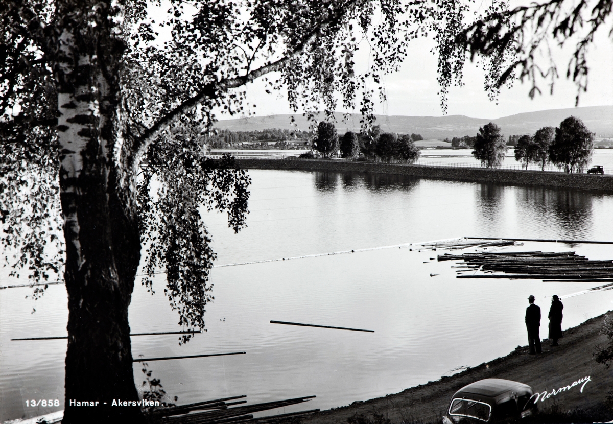 Postkort, Hamar, Åkersvika, Riksveg 50 over Stangebrua, tømmerlense nedenfor Tokstad,