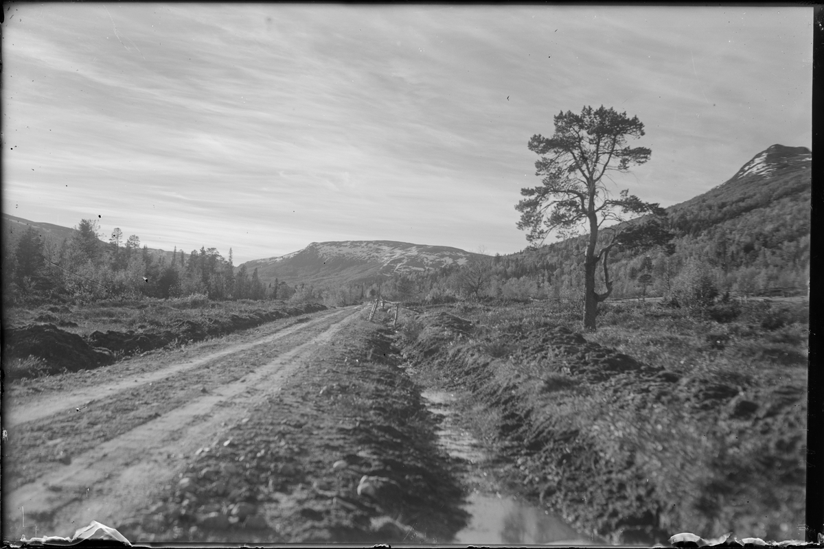 Grusvei i fjellandskap. Sannsynligvis veien mellom Kalhovd og ...