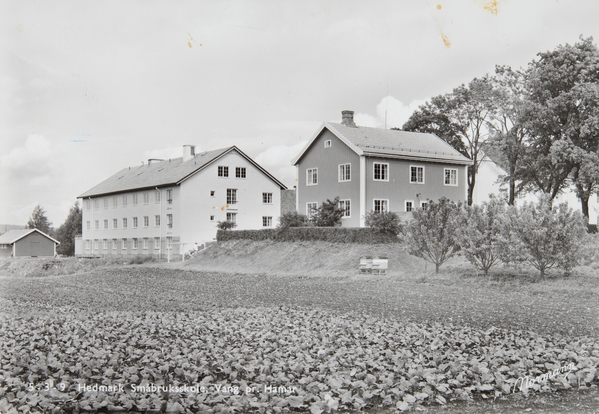 Postkort, Vang, gården Blæstad småbruksskole, Hedmark fylke kjøpte gården i 1918, internat,