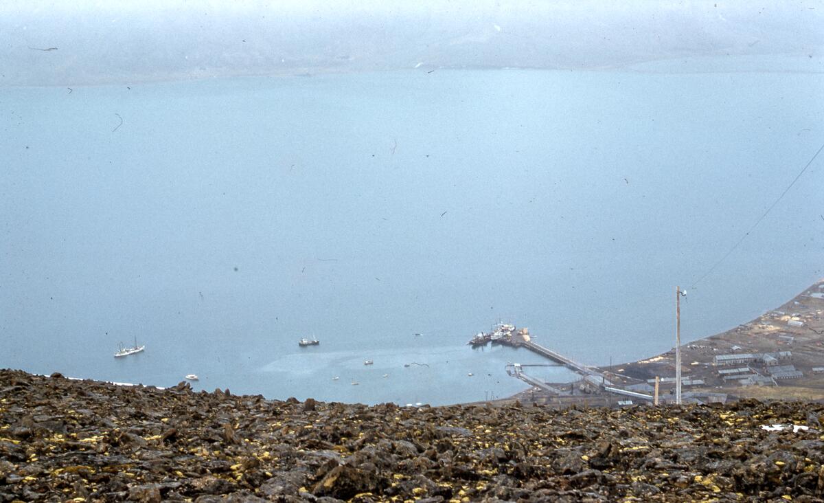 Kaia i Longyearbyen Med Lyngen til Svalbard, 1957