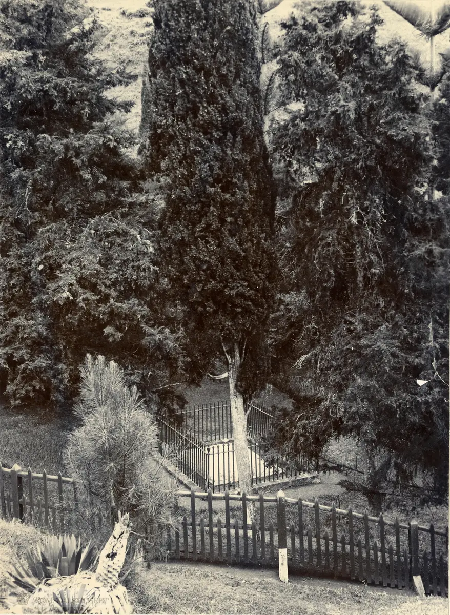 Fra Jonas Lied samlingen., "Original photograph of Napoleons grave at Longwood St. Helena, 1903"