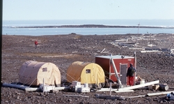 Biologisk feltleir på Lurøya i Tusenøyane. Ved hytta veterin