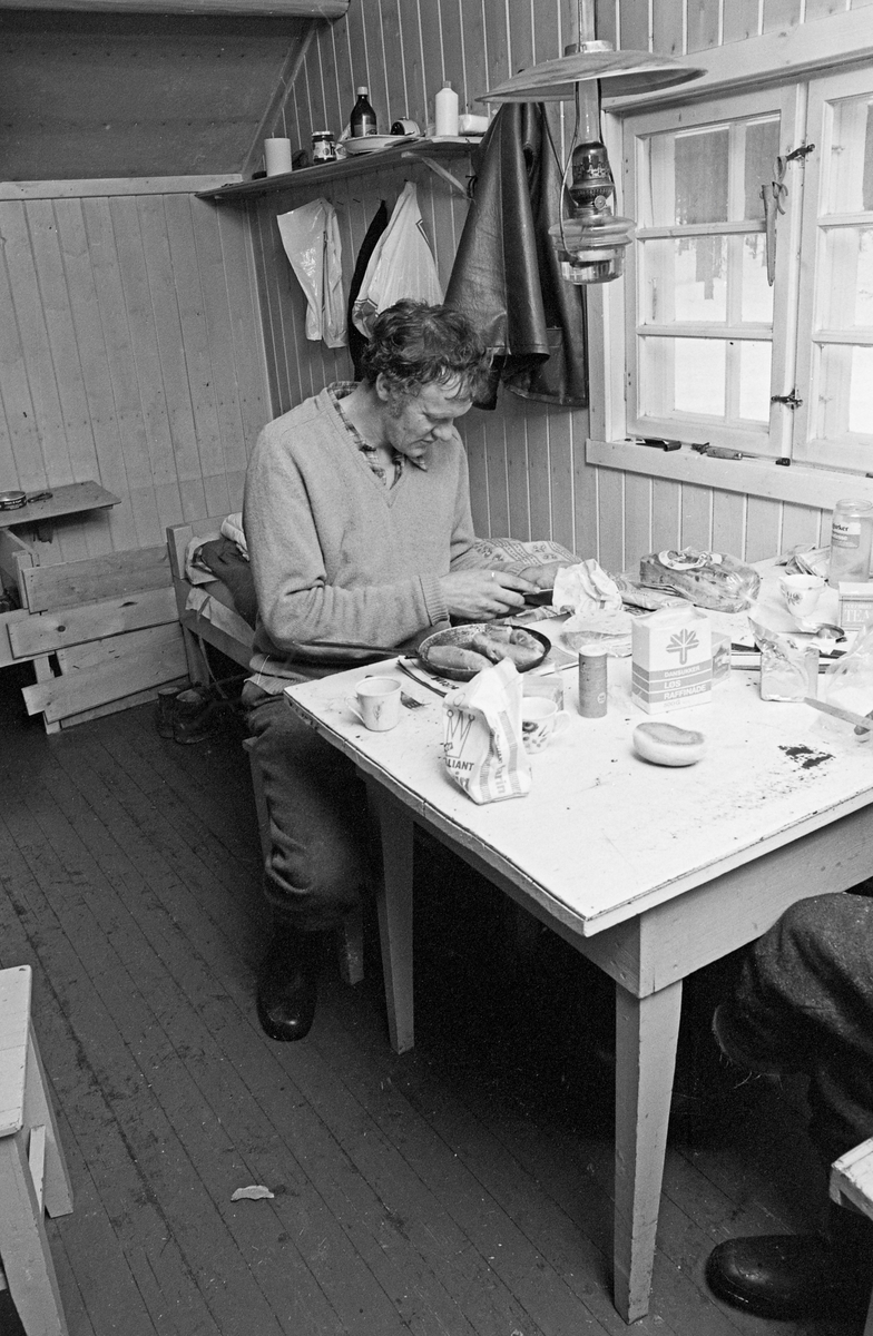 Måltid i Østlikoia i Løiten almenning (Løten allmenning) i februar 1977. Fotografiet er tatt inne i koierommet. Der satt Jon Larsson på en taburett ved spisebordet under måltidet.