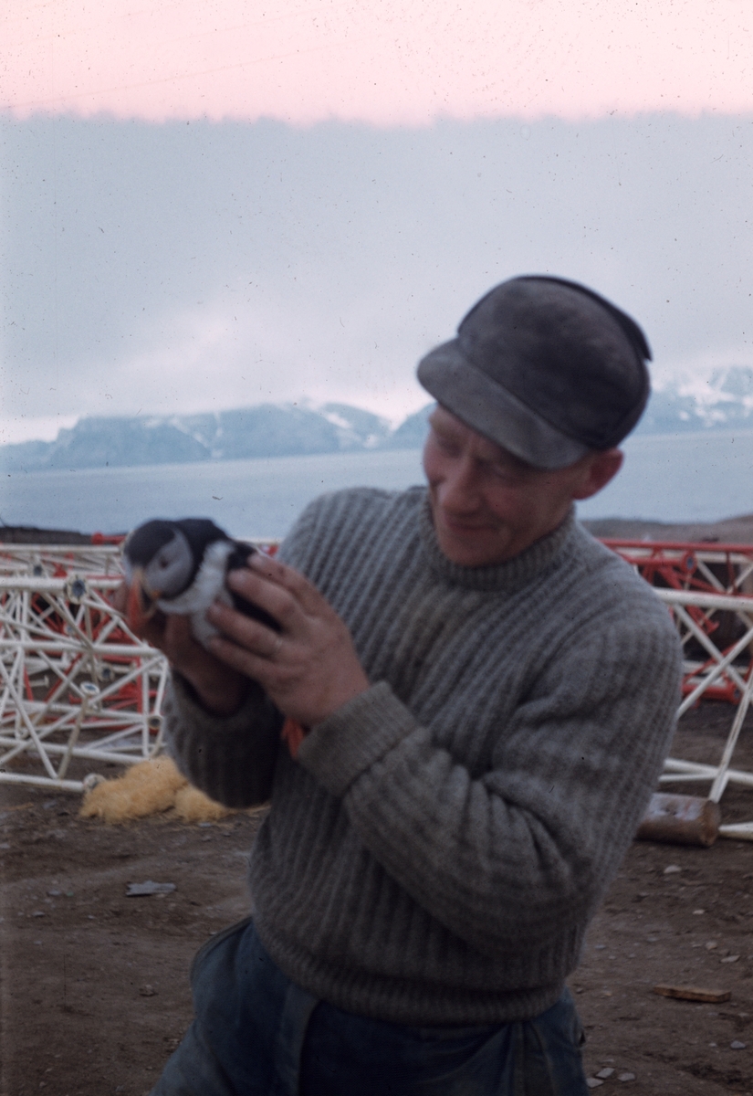 Asbjørn Thorsen og lundefuglen.