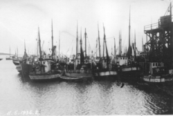 Fiskebåter ved kai i Ny-Ålesund. Bildet fra CD.