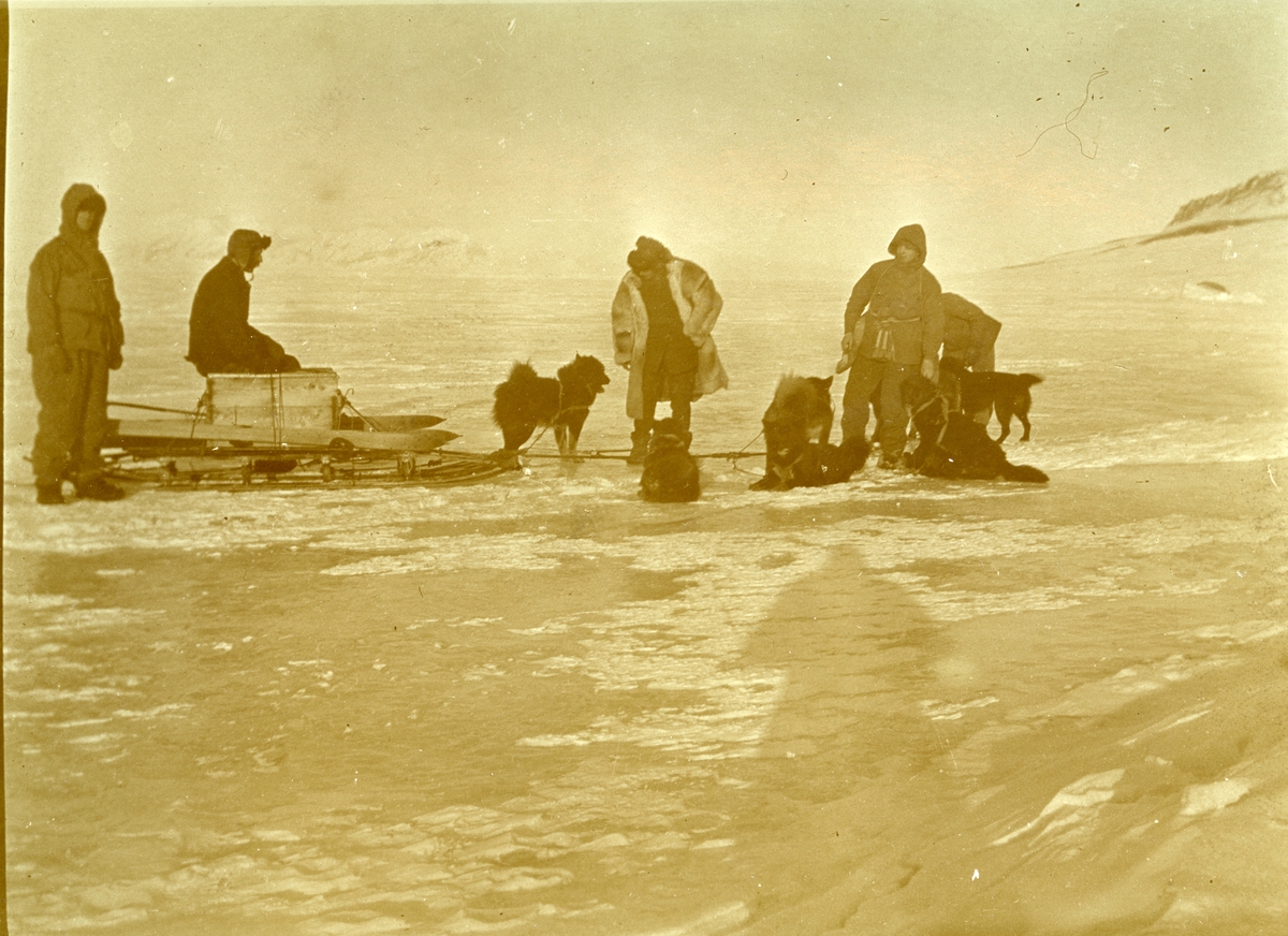 Fangsfolk  med hundespann. Bilde fra samlingen til Jens K. Bay, som var sjef for en overvintringsekspedisjon på Svalbard i 1914/15. Bay var bror til Karl Bay.