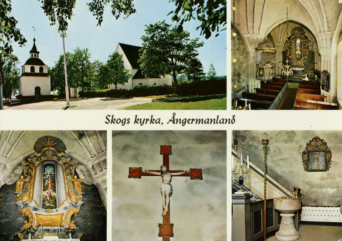 Skogs kyrka i Ångermanland, vid E4 ca 1 mil norr om Sandöbron är medeltida med rektangulär grundplan och rakslutet kor. Uppförandet påbörjades vid slutet av 1200 -talet. Klockstapeln är av sk bottnisk typ, uppförd under 1700-talet. Den mindre av de två klockorna är daterade 1350 - 1400 en av stiftets äldsta klockor. Stjärnvalvet uppfördes under 1400 -talet. Inredningen bär vittnesbörd om traktens verksamma konsthantverk. Predikstolen i senbarock, skuren 1756 av Christian Kramm. Altaret är i kraftigt rokoko utförd 1783 av Jon Göransson/Westman. Målad och förgylld 1786 av mäster Wagenius från Sundsvall. Korfönstret signerat Bengt Hamrén, insatt vid restaurering 1935. Triumfkrucifix från 1300 - talet. Dopfunten i kalksten är från 1300-talet medan ljusstaken därintill är från 1400 -talet. Kyrkans äldre inventarier, Madonna från omkr. 1300, ett Altarskåp och en S:t Mikaelsbild från 1500 - talet är deponerat  i Murbergets museum, Härnösand.