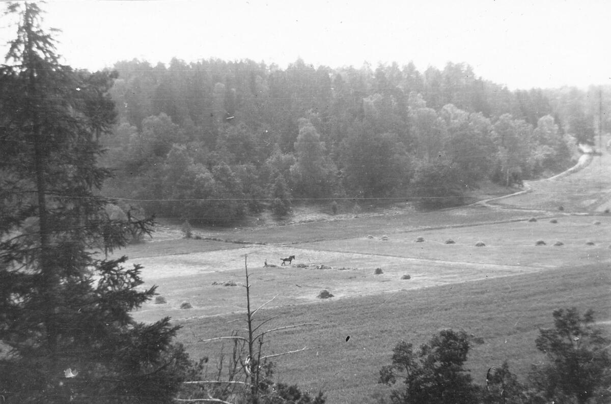 Saltängarna före bebyggelsen då området bestod av jordbruks- och skogsmark. Foto 1921.