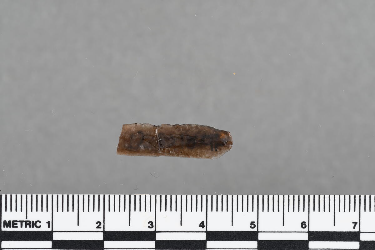 Fragment av en flekke med bruksspor på venstre sidekant, bakside; av grå mottled chert. Distalende avbrukket. L. 23 mm, b. 7 mm, t. 1 mm. 224,93x/198,49y.