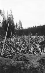 Tømmerhaug i elva Søndre Osa i Åmot i Hedmark, fotografert i