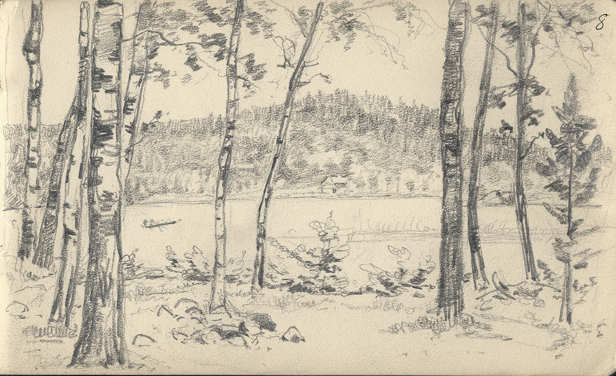 Skiss, blyerts. Utsikt genom en gles björkdunge mot en sjö. Till vänster skymtar en eka med några personer.
I bakgrunden skymtar några byggnader.

Inskrivet i huvudbok 1975.