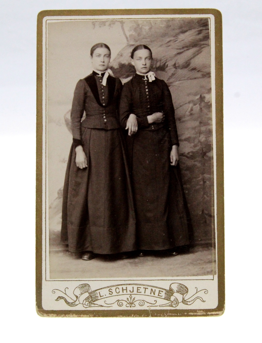 Fotografi av to kvinner. Fotografi fra album etter Karoline Nilsen (1862-1947). Karoline Nilsen (Grelsen) var født på Rognmo. Flyttet til Karlstad, Målselv. Fotograf L. Schjetne, Tromsø.