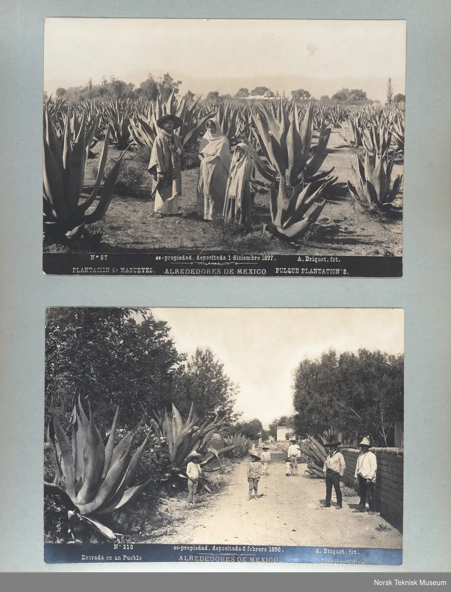 Fotoalbum med fotografier fra studiereise i Mexico. Det er også enkelte bilder fra USA.