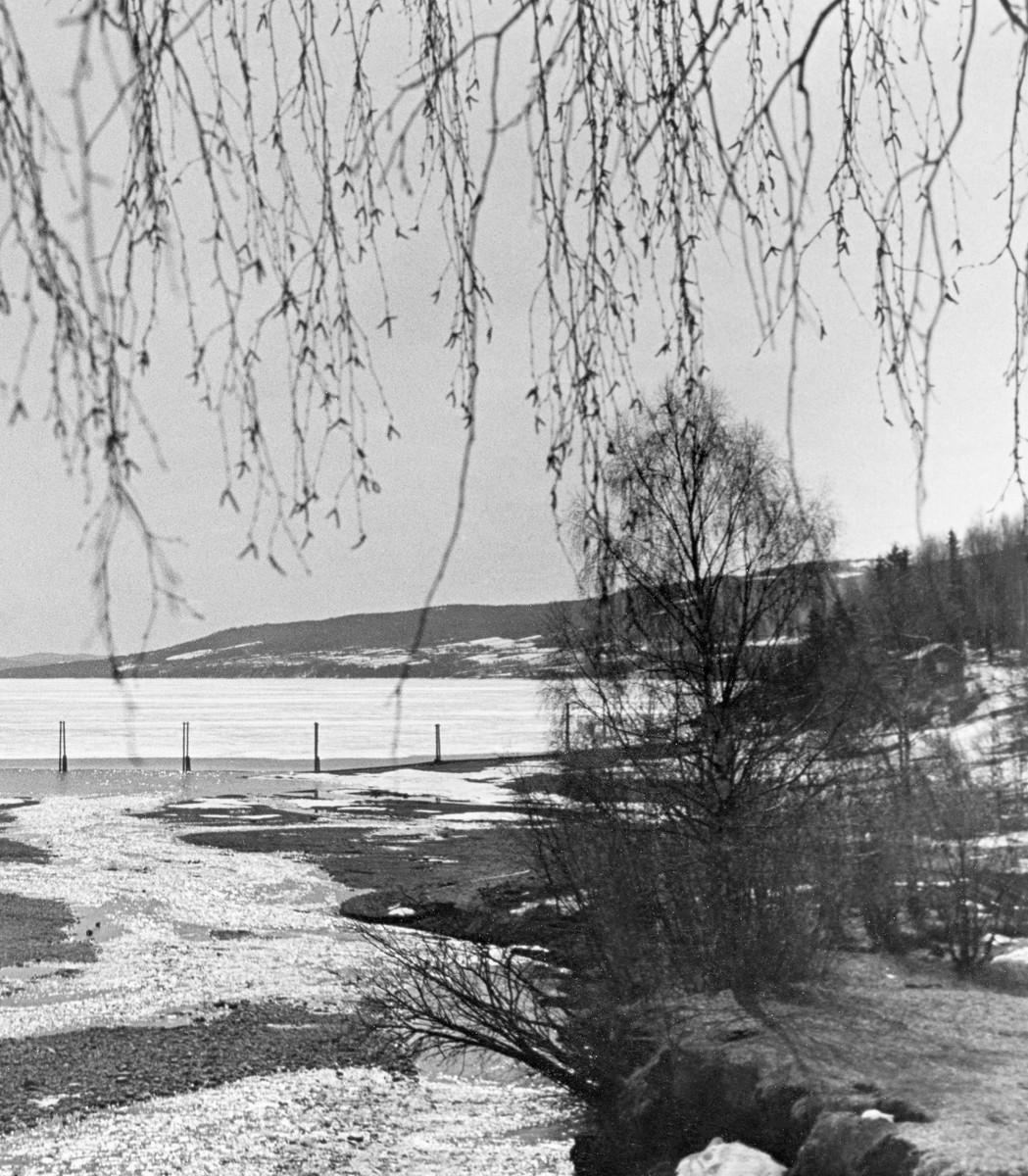 Fra elva Rindas utløp i Mjøsa ved Vingrom i daværende Fåberg kommune i Oppland.  Fotografiet er tatt våren 1939.  Vi ser ut over et bredt, grunt og steinete elveløp med lav vannføring og enkelte små isflak etter foregående vinter.  På motsatt side av Mjøsa ser vi i retning bygdelaget Søre Ål, som også lå i Fåberg. I Glomma fellesfløtingsforenings album er dette bildet er montert som den høyre delen av et todelt panoramaopptak.  

Elva Rinda kommer fra Rindtjernene sør for Rindåsen, i grensetraktene mellom Vestre Gausdal og Fåberg.  Den renner gjennom Saksumdalen, og når Mjøsa etter drøyt to mil.  Rinda renner gjennom skogtrakter, og den var derfor ei viktig fløtingselv.  For å hindre at fløtingsvirket strøk fra elveosen og ut i Mjøsa ble det oppsatt ei lense som skulle samle opp alle stokkene, slik at de kunne buntes før de ble buksert videre sørover.  Lensa besto av en kjede av flytende tømmerstokker, støttet av ei pælerekke.