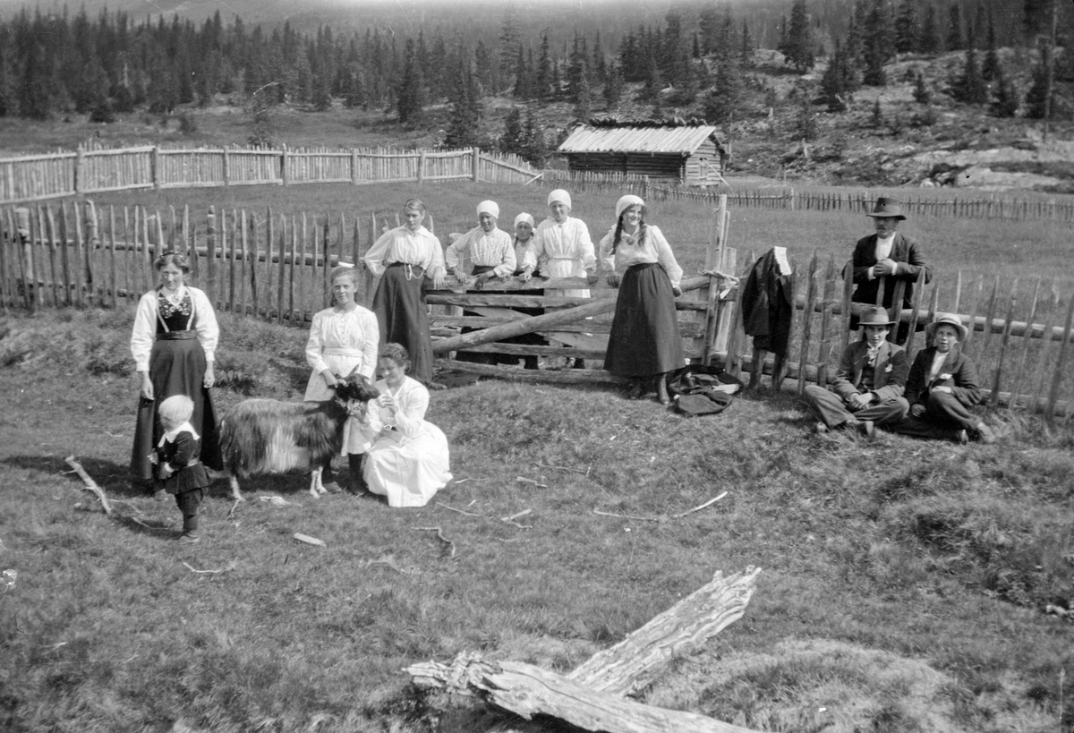 Bildet viser ungdommer på Nystaul

Fotosamling etter Øystein O. Jonsjords (1895-1968), Tinn.