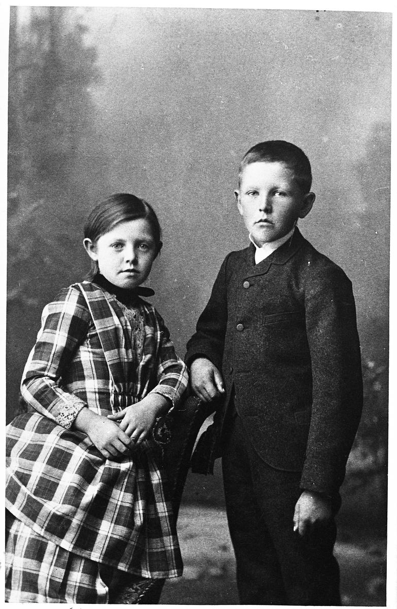Agnes Gjestvang gift Hjerkinn f. 1880 og broren Frantz Gjestvang f. 1879.
Søsknene er pyntet til ære for fotograferingen.  Hun har finkjolen med legg og kappe, og Frantz har stiv skjortekrage.