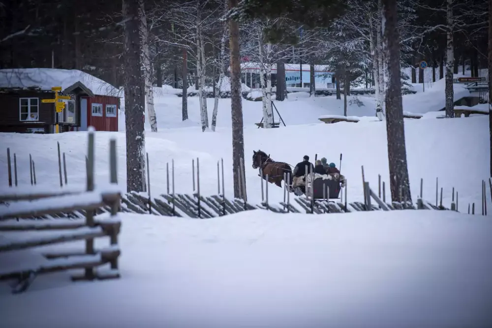 Bildet viser hest med slede i parken